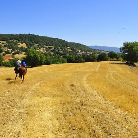 Country House Poggio Aione *